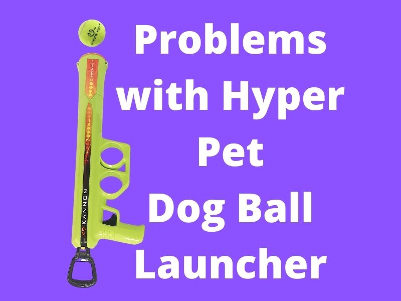 5_Common_Problems_with_Hyper_Pet_Dog_Ball_Launcher
