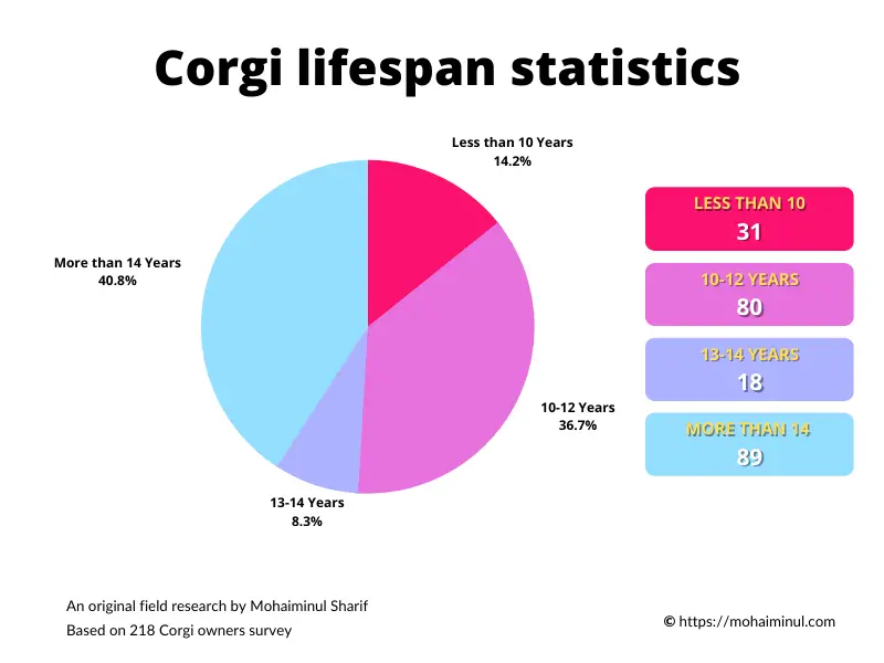 An Original survey report of corgi lifespan illustrated on a pie chart with proper label